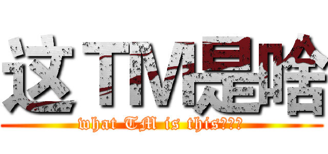这ＴＭ是啥 (what TM is this？超过)