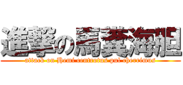 進撃の馬糞海胆 (attack on Hemi centrotus pul cherrimus)