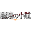 腦殘の小航 (SB)