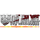 蓼原凰嘉 (tadehara ouka)