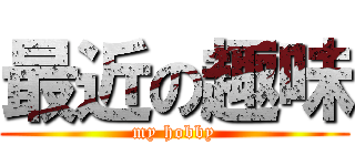 最近の趣味 (my hobby)