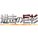 进击の巨衫 (attack on clothes)