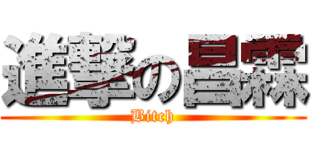 進撃の昌霖 (Bitch)