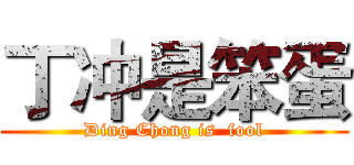 丁冲是笨蛋 (Ding Chong is  fool)