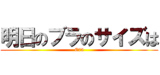 明日のブラのサイズは (E75)