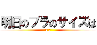 明日のブラのサイズは (E75)