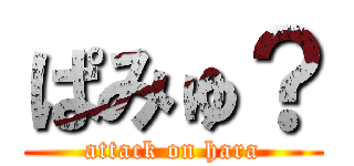 ぱみゅ？ (attack on hara)