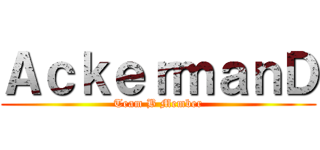 ＡｃｋｅｒｍａｎＤ (Team B Member)