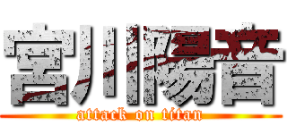 宮川陽音 (attack on titan)