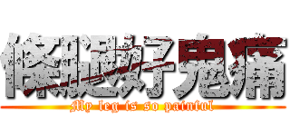 條腿好鬼痛 (My leg is so painful)
