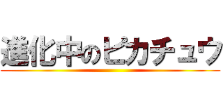 進化中のピカチュウ ()