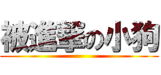 被進撃の小狗 ()