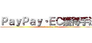 ＰａｙＰａｙ・ＥＣ獲得手法 (attack on Pay EC)
