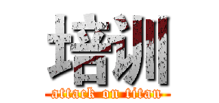 培训 (attack on titan)