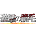 進擊の脆毛 (attack on titan)