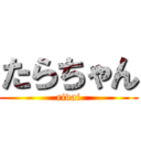 たらちゃん (rivai)