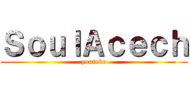 ＳｏｕｌＡｃｅｃｈ (youtube)