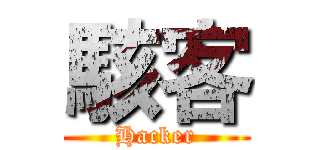 駭客 (Hacker)