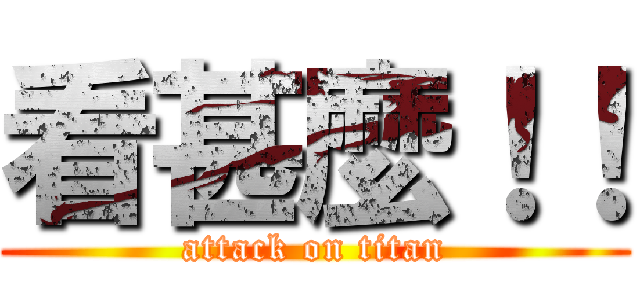 看甚麼！！ (attack on titan)