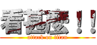 看甚麼！！ (attack on titan)
