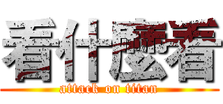 看什麼看 (attack on titan)