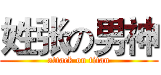 姓张の男神 (attack on titan)