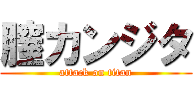 膣カンジタ (attack on titan)