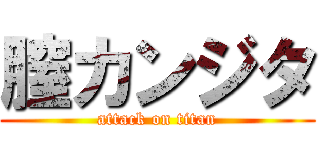 膣カンジタ (attack on titan)