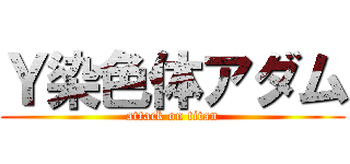 Ｙ染色体アダム (attack on titan)