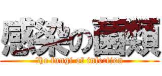 感染の菌類 (ｔhe fungi of infection)