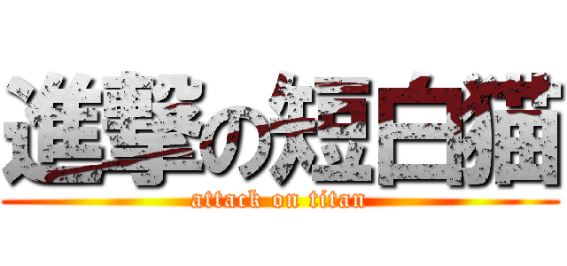 進撃の短白猫 (attack on titan)