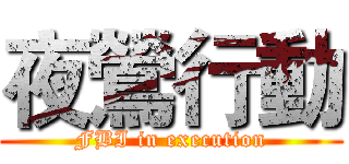 夜鶯行動 (FBI in execution)