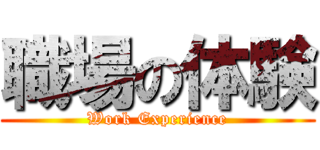 職場の体験 (Work Experience)