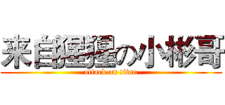 来自猩猩の小彬哥 (attack on titan)