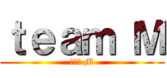 ｔｅａｍ Ｍ (チーム M)