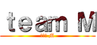 ｔｅａｍ Ｍ (チーム M)