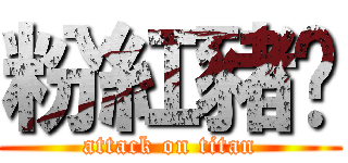 粉紅豬ㄉ (attack on titan)