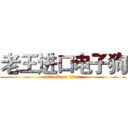 老王进口电子狗 (attack on titan)