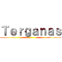 Ｔｅｒｇａｎａｓ ()