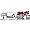 中二の雞毛 (attack on Ji mao)