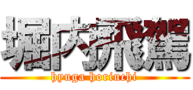 堀内飛駕 (hyuga horiuchi)