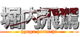 堀内飛駕 (hyuga horiuchi)