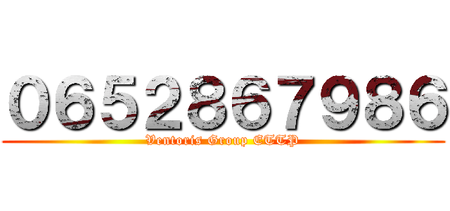 ０６５２８６７９８６ (Ventoris Group ETTP)