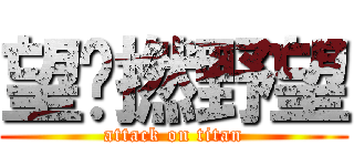 望乜撚野望 (attack on titan)