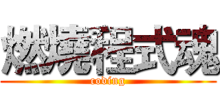 燃燒程式魂 (coding)