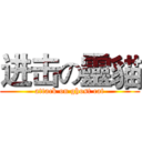 进击の靈貓 (attack on ghost cat)