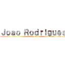 Ｊｏａｏ Ｒｏｄｒｉｇｕｅｓ (The Art Of)