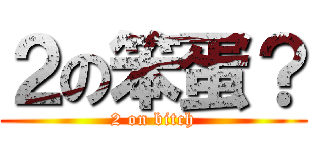 ２の笨蛋？ (2 on bitch)