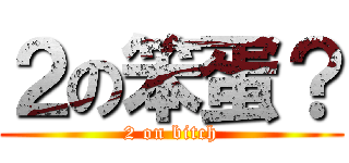 ２の笨蛋？ (2 on bitch)