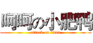 呵呵の小肥鸭 (attack on titan)